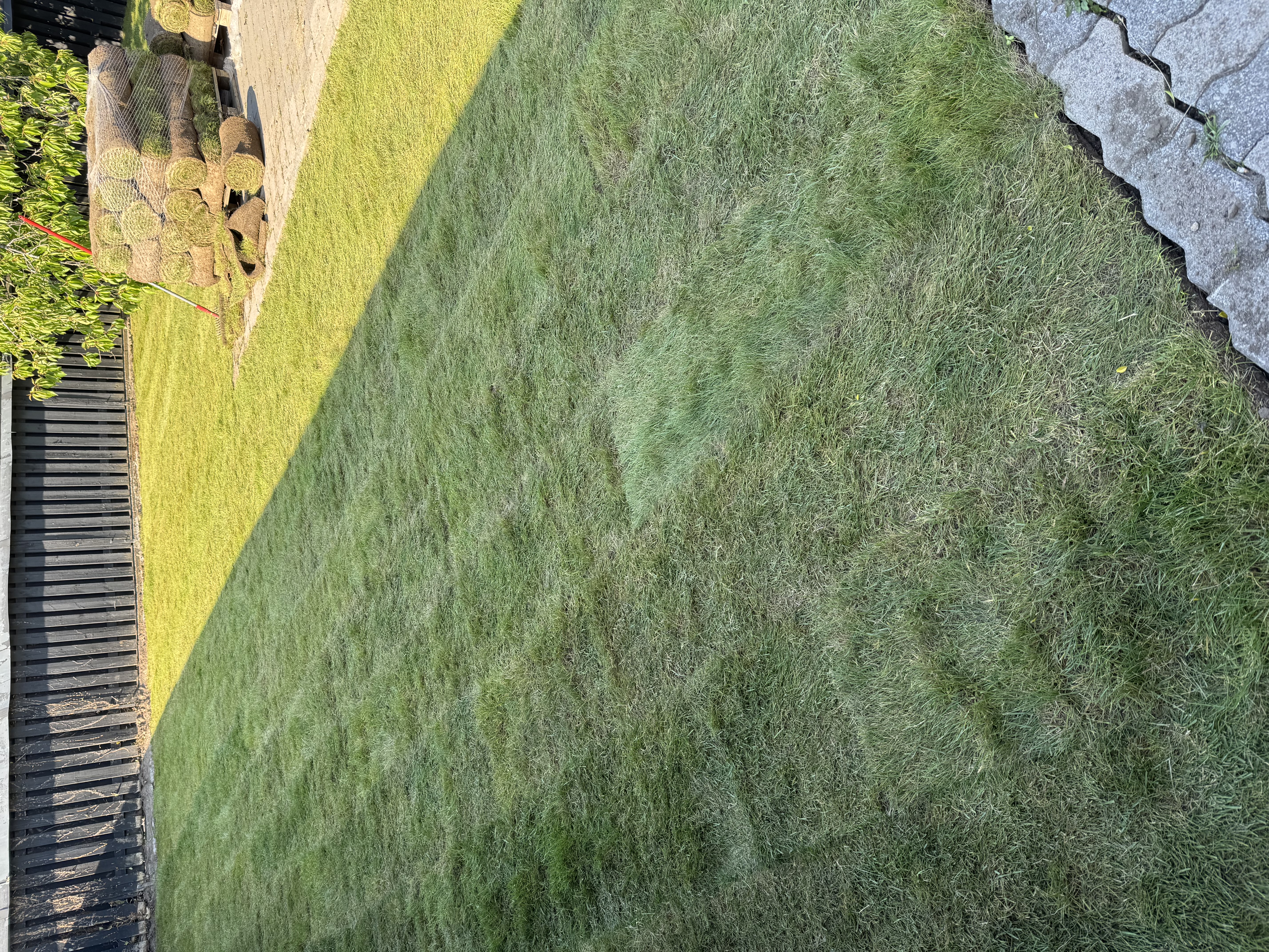 Gräsmatta på rulle i Malmö