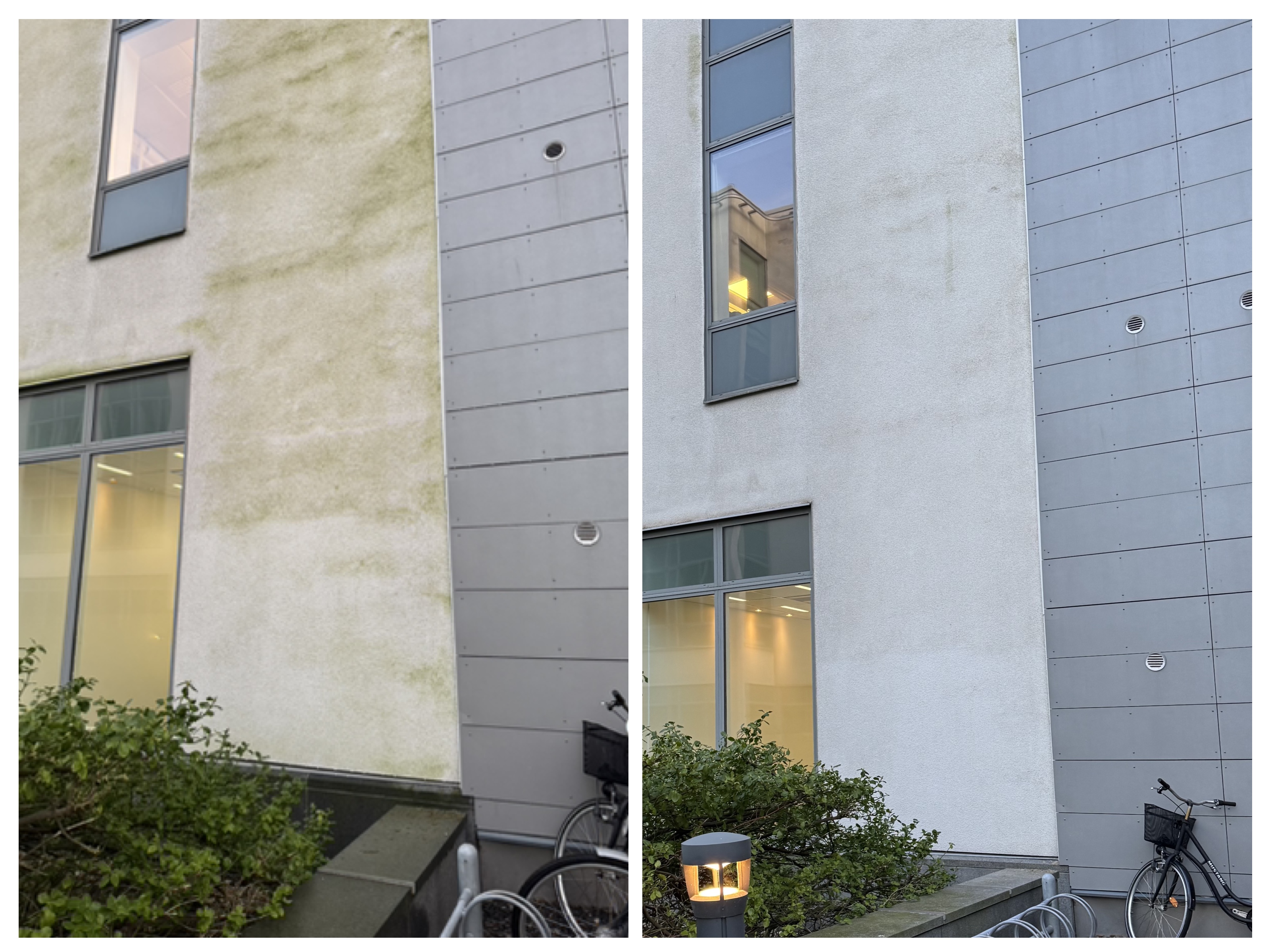 Gröna alger på fasad. Algbehandling