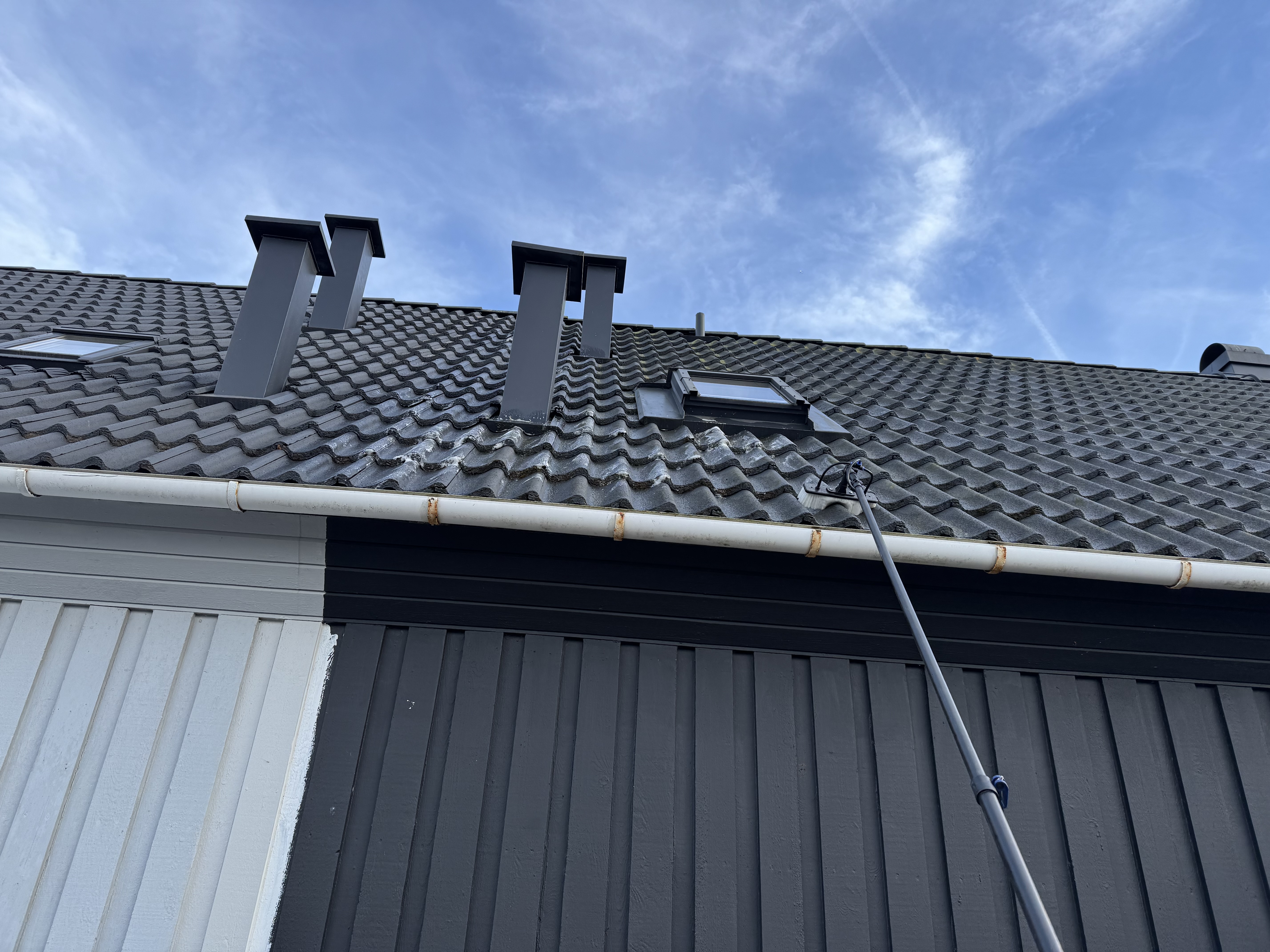 Alg behandling av tak