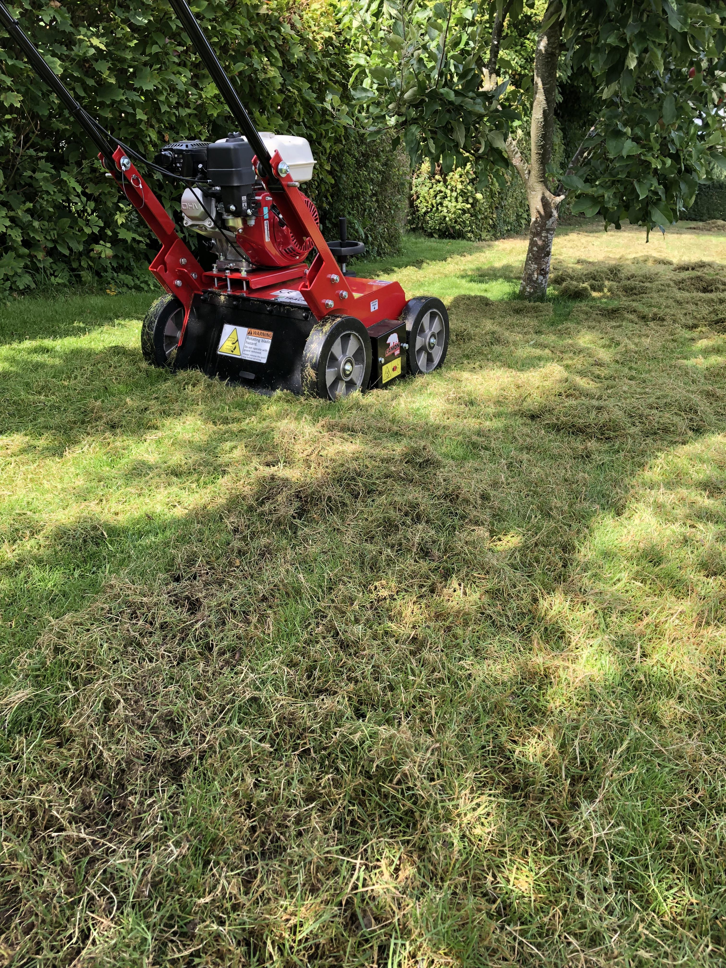 Vertikalskärning av gräsmattan på våren i Lomma Bjärred