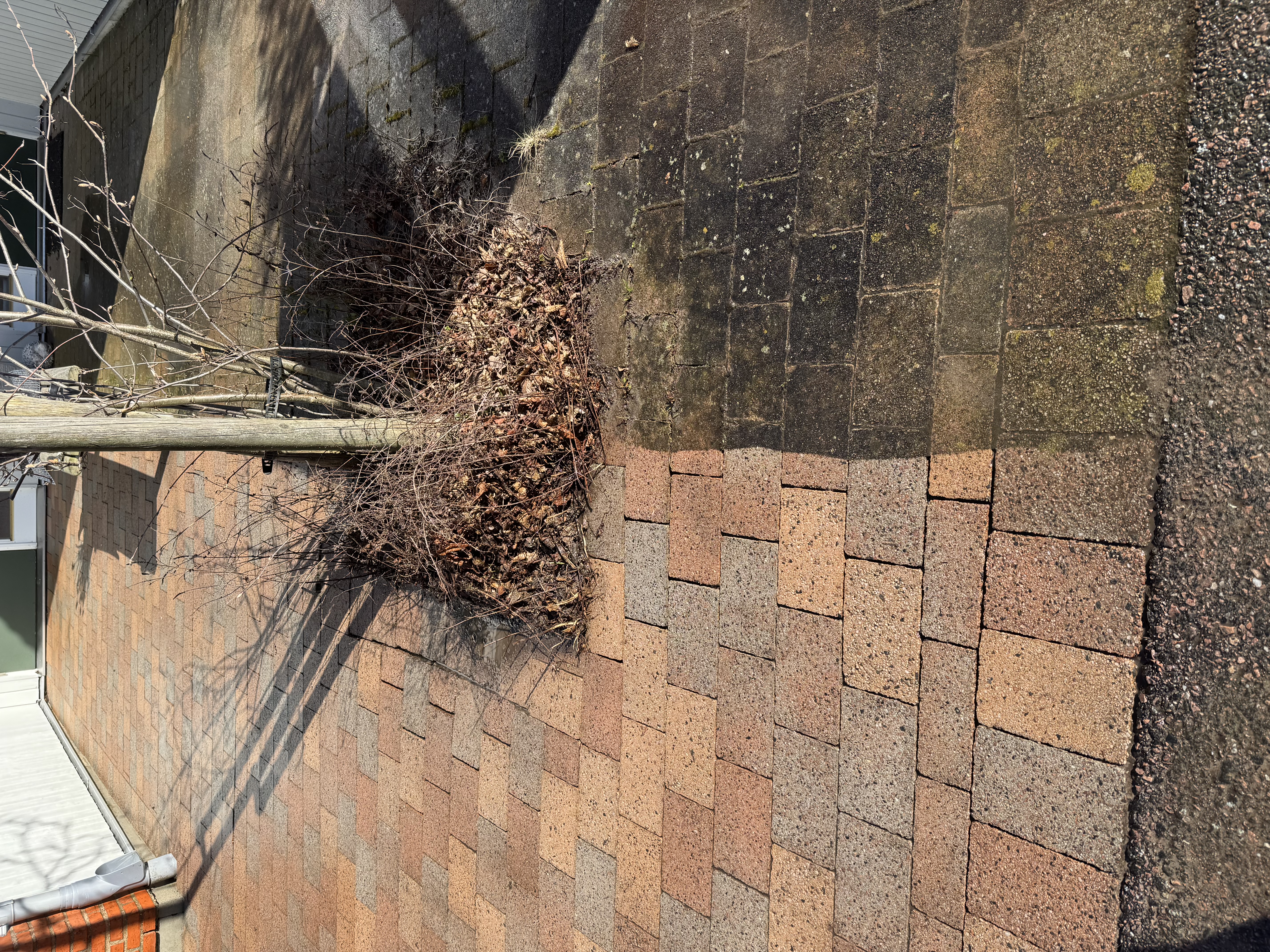 Stentvätt, algbehandling , mossborttagning