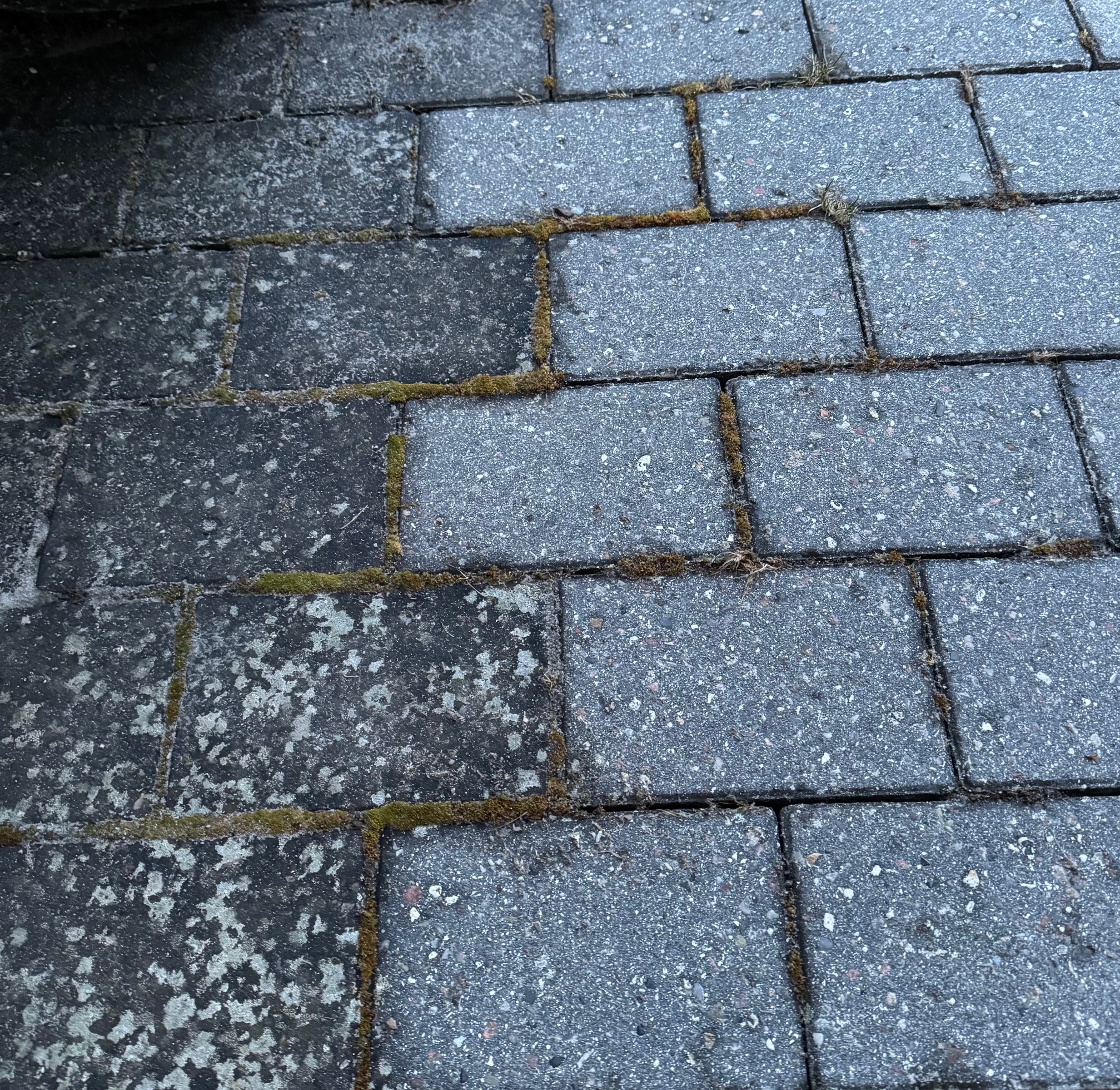 Stentvätt i Stångby Lund