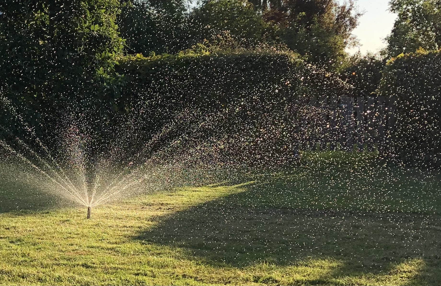 Bevattning av gräsmatta i Lund