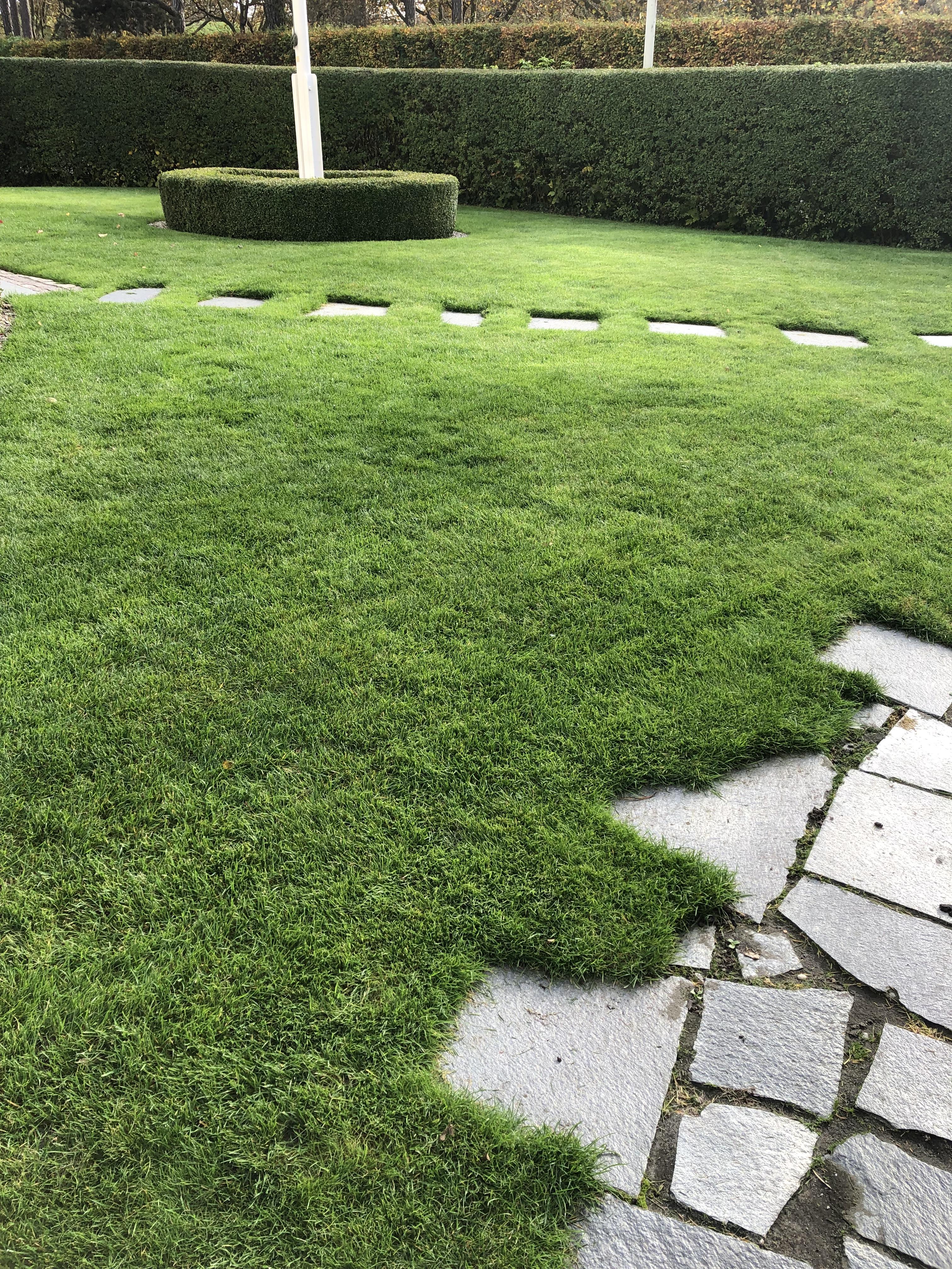Ska du sälja huset? Vi hjälper dig med din utemiljö i Lund