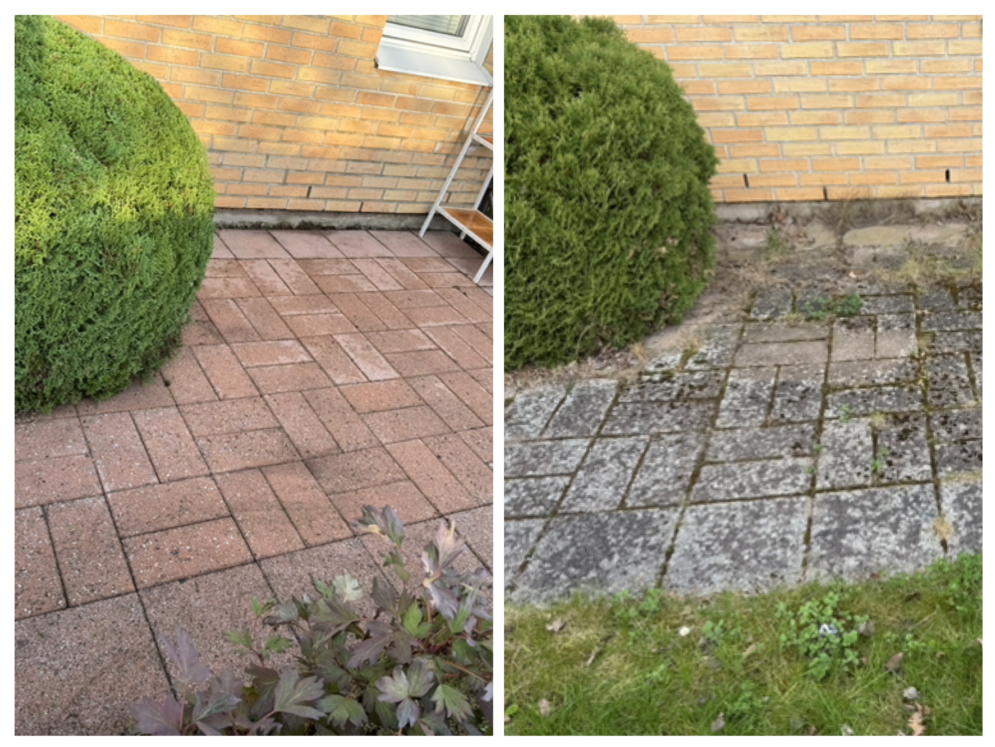 Stentvätt i Vellinge