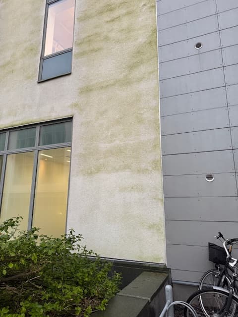 Algbehandling med Grön-Fri i Malmö