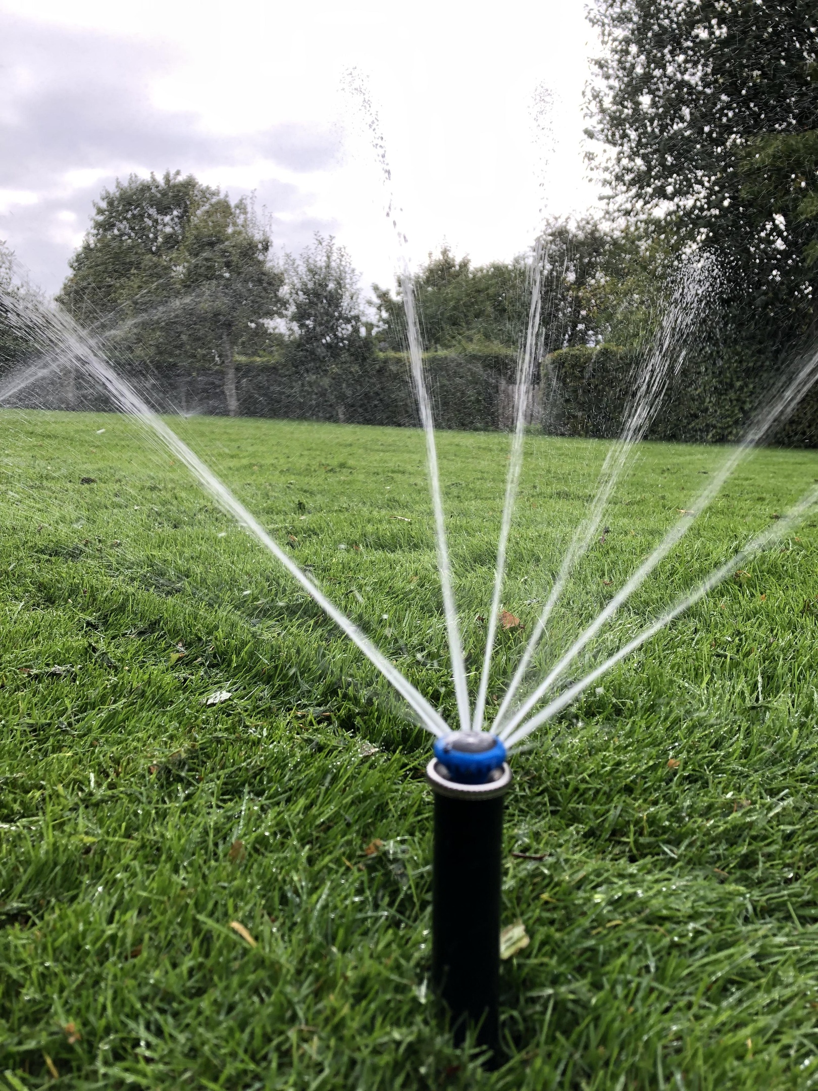 MP Rotator, perfekt för din trädgård i Höllviken