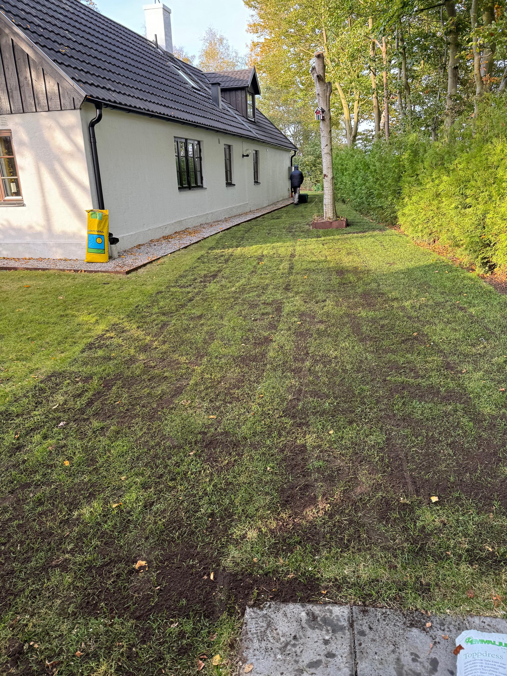 Nysådd och dressjord på en gräsmatta i Löddeköpinge 