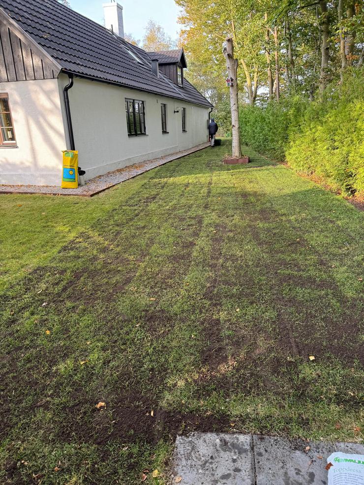 Renovering av gräsmatta i Bjärred