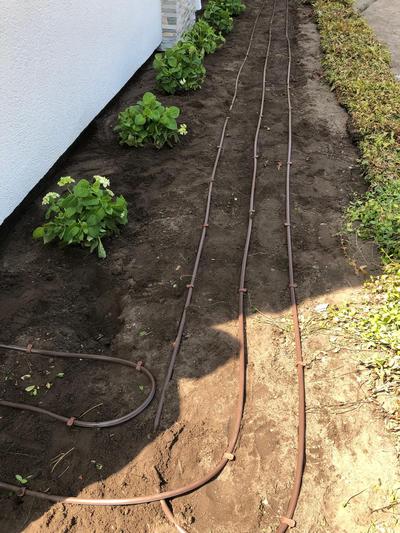 Droppbevattning till blommor, rabatter, buskar Skåne